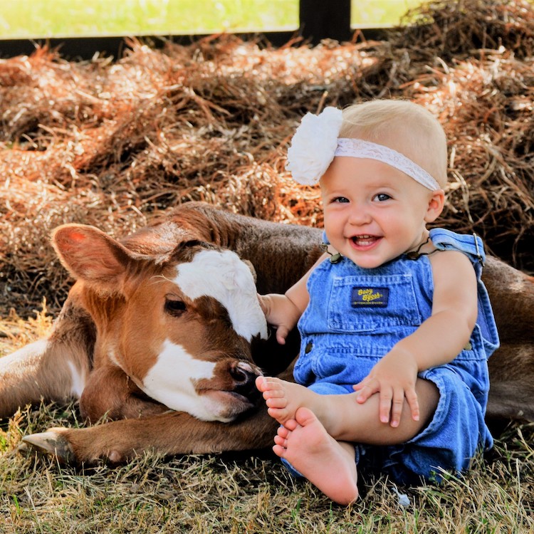 GFB Photo Contest puts farm life in focus